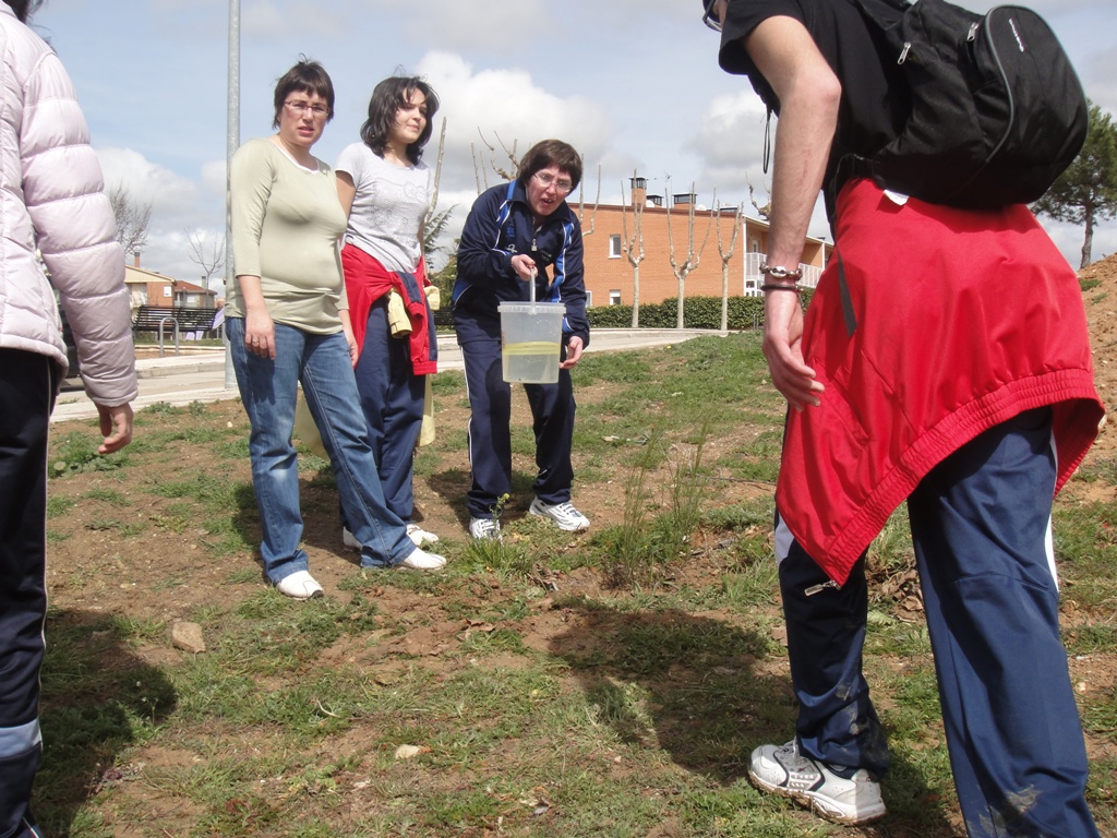 Día del árbol en Cabrerizos