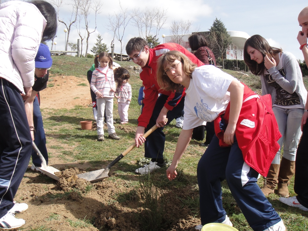 Jóvenes de AVIVA plantando árboles.