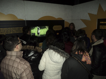 Momento en la exposición para la comunicación a través de sonidos.