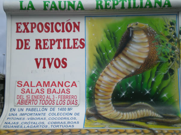 Cartel publicitario móvil de la exposición de los reptiles