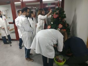 Fundación AVIVA decora el árbol de navidad del centro Luis Vives donde esta nuestra Sede Social